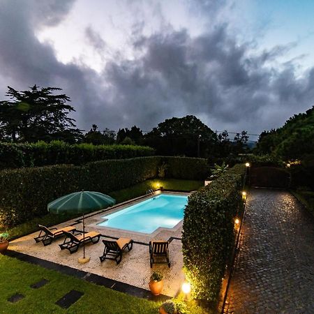Casa Do Pinheiro With Shared Swimming Pool Villa São Vicente Ferreira Екстериор снимка