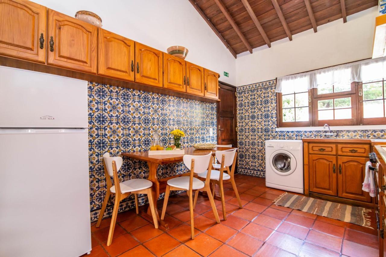 Casa Do Pinheiro With Shared Swimming Pool Villa São Vicente Ferreira Екстериор снимка