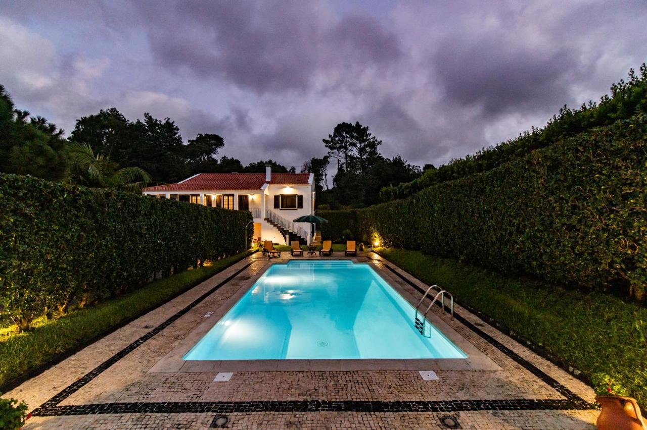 Casa Do Pinheiro With Shared Swimming Pool Villa São Vicente Ferreira Екстериор снимка