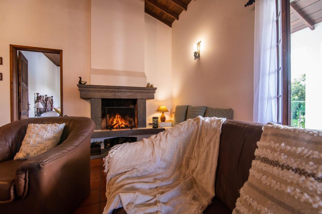 Casa Do Pinheiro With Shared Swimming Pool Villa São Vicente Ferreira Екстериор снимка