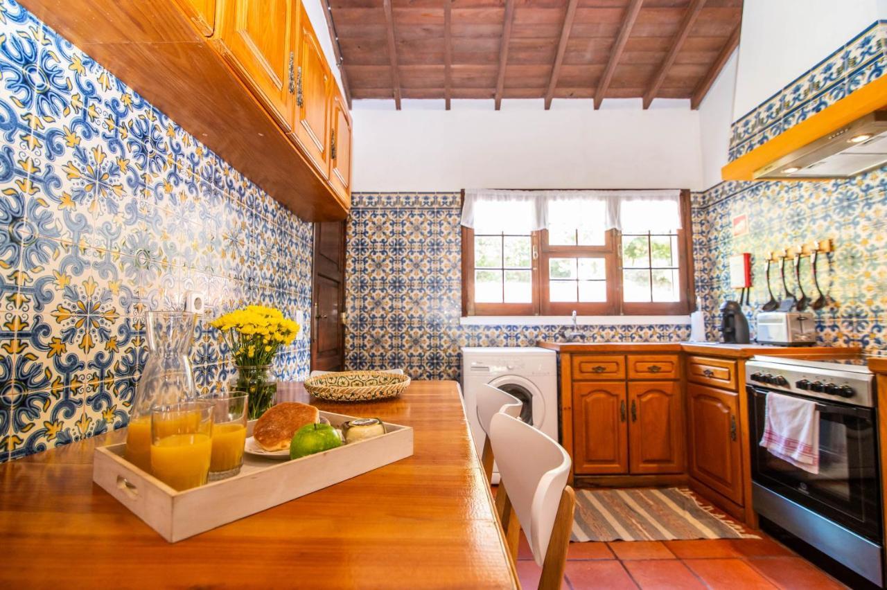 Casa Do Pinheiro With Shared Swimming Pool Villa São Vicente Ferreira Екстериор снимка