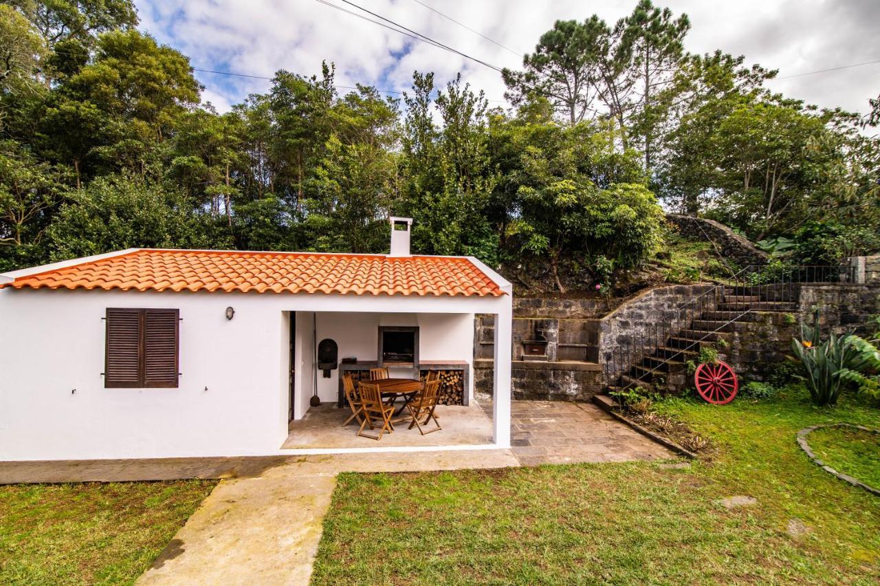 Casa Do Pinheiro With Shared Swimming Pool Villa São Vicente Ferreira Екстериор снимка