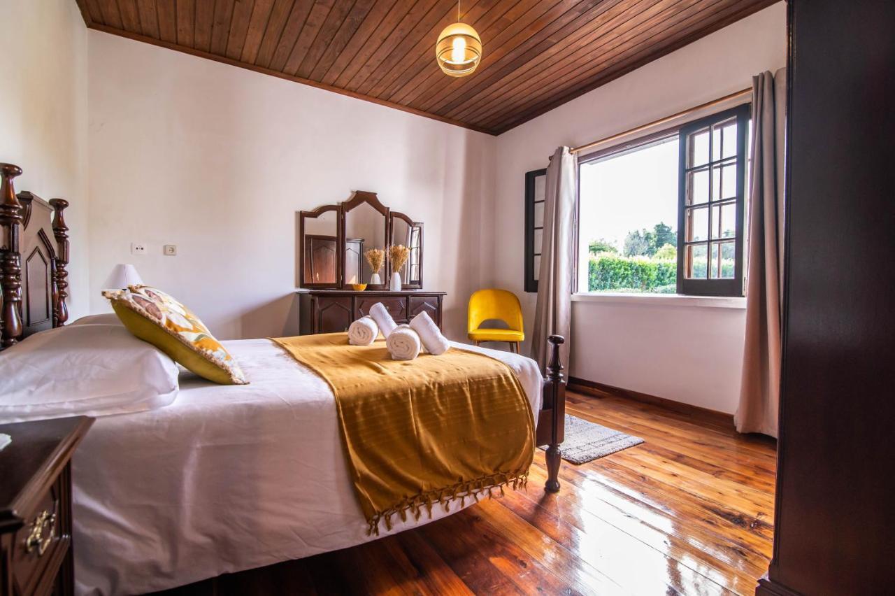 Casa Do Pinheiro With Shared Swimming Pool Villa São Vicente Ferreira Екстериор снимка