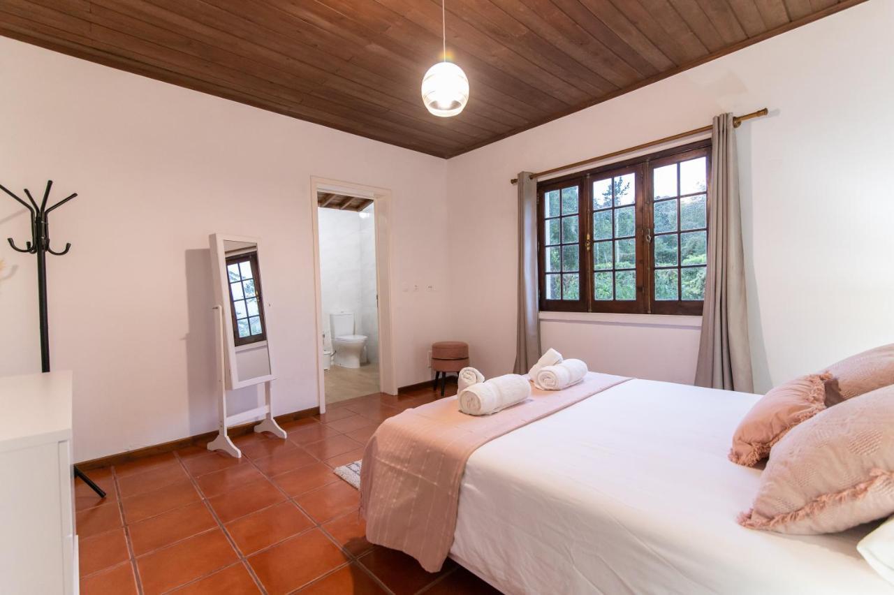 Casa Do Pinheiro With Shared Swimming Pool Villa São Vicente Ferreira Екстериор снимка