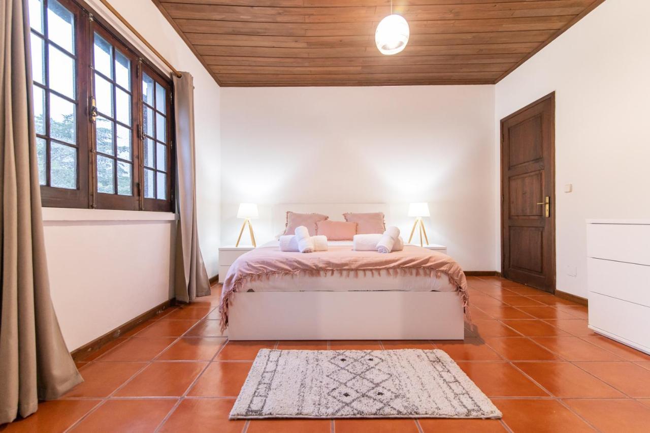 Casa Do Pinheiro With Shared Swimming Pool Villa São Vicente Ferreira Екстериор снимка